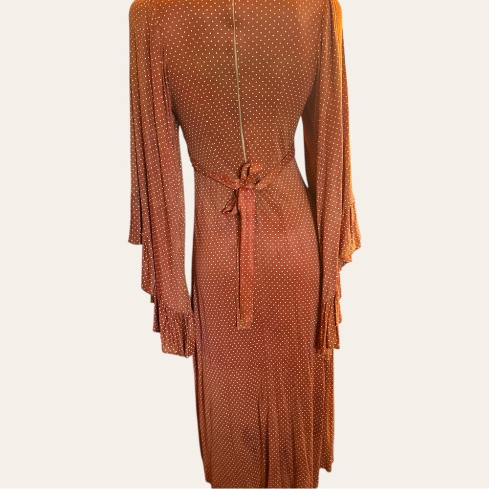 Unique Vintage 1970s Rust Polka Dot Long Sleeve Dress - Picture 4 of 6